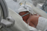Baby 11