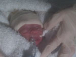 Baby 15