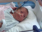 Baby 155