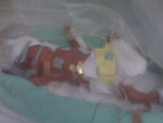 Baby 16