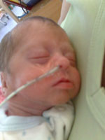 Baby 164
