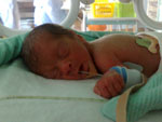 Baby 12