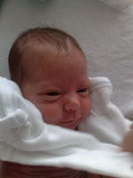 Baby 213