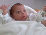 Baby 219