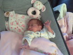 Baby 227