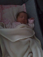 Baby 231