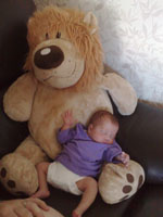 Baby 237