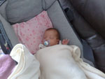 Baby 241
