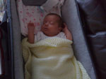Baby 245