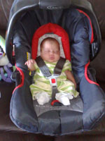 Baby 279