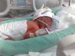 Baby 12