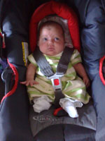 Baby 280