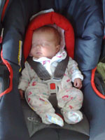 Baby 290