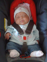 Baby 293