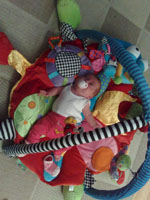 Baby 296