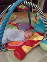Baby 297