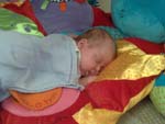 Baby 298