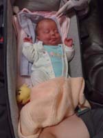 Baby 306