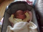 Baby 310