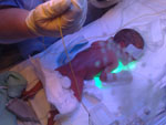 Baby 33