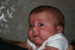 Baby 335