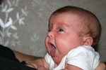 Baby 336