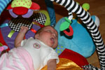 Baby 338