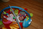 Baby 339