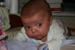 Baby 353
