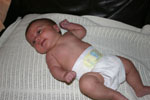 Baby 393