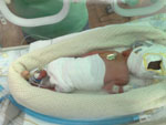 Baby 41