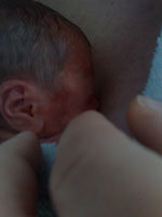 Baby 46