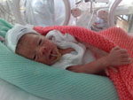 Baby 48