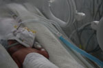 Baby 5