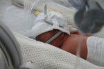 Baby 6