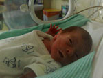 Baby 62