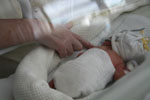 Baby 7