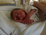 Baby 75