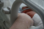 Baby 8